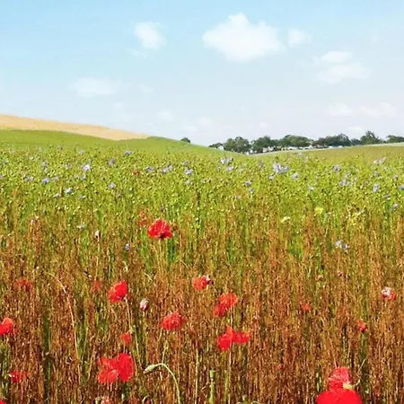 Holiday home Amazing In Sainte-marguerite-sur- Sainte-Marguerite (Upper Normandy)