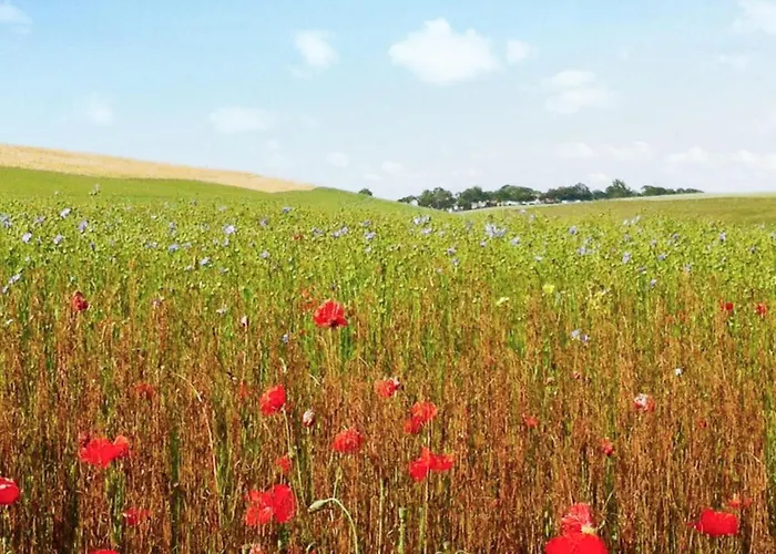 Σπίτι διακοπών Amazing In Sainte-marguerite-sur- Sainte-Marguerite (Upper Normandy)